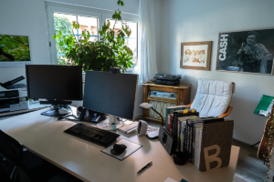 Zimmerpflanzen schaffen eine angenehme Atmosphäre im Büro